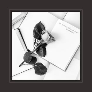 罗宾被发情小麋鹿肉到脱力
